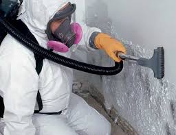 Best Crawl Space Mold Remediation in Jnstown, OH